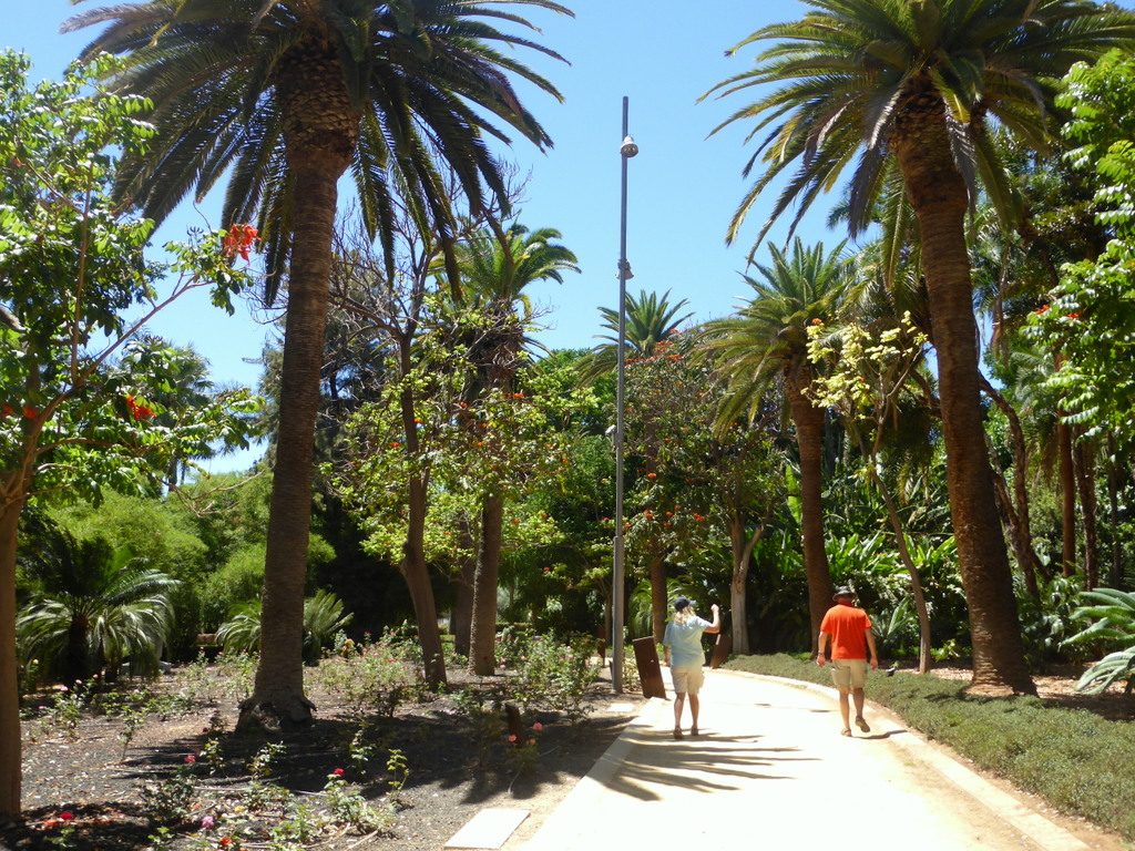 Parque García Sanabria, Santa Cruz de Tenerife